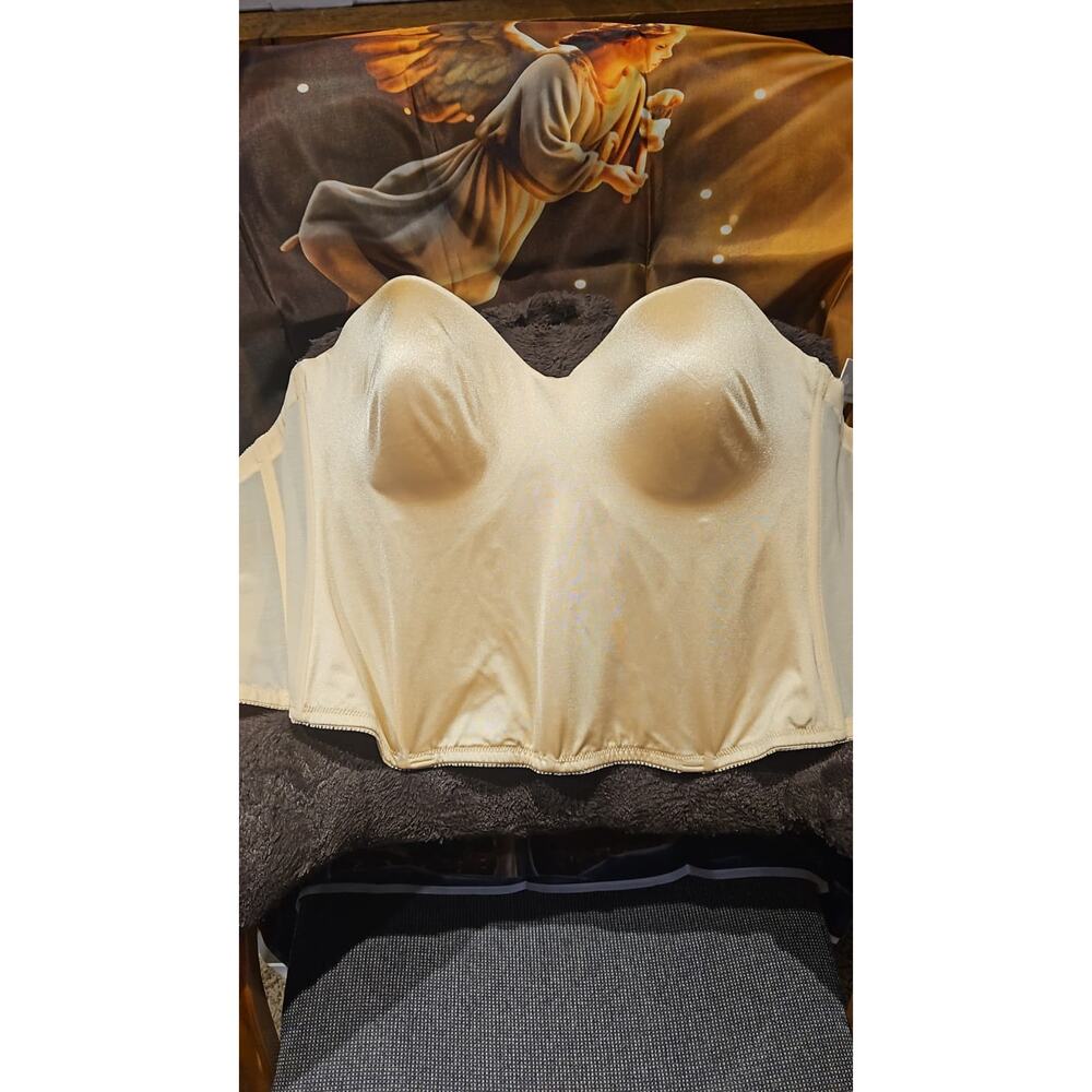 Dominique Ariel Hidden Underwire Seamless Longline Bra - Picture 2 of 4